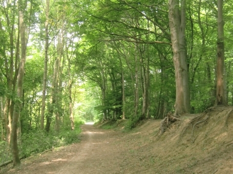 Moers : Wanderung rund um den Waldsee 